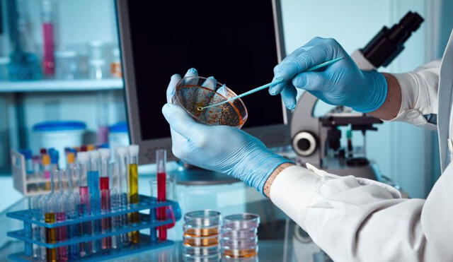 Se utilizan distintos procedimientos en laboratorio para desarrollar vacunas. Foto referencial: Stem cells Transplant Institute