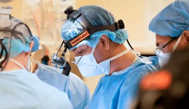 Los cirujanos de Northwestern han realizado 14 trasplantes dobles pulmón en supervivientes del virus, la mayor cantidad que cualquier hospital del mundo. Foto: EFE