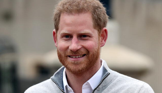 El príncipe Enrique de Inglaterra ejercerá un puesto directivo en una exitosa empresa. Foto: AFP