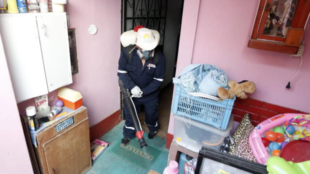 Es fundamental la fumigación de las casas y la vigilancia vectorial del Minsa. Foto: Antonio Melgarejo / La República