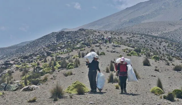 Montañistas evalúan realizar limpieza por otras dos rutas de ascenso al Misti. Foto: Club Deportivo de Andinismo de Arequipa