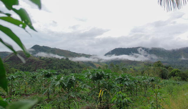 Quispe indica que pueden haber chubascos en la selva central. Foto. La República