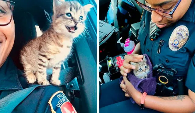 Un gatito de pocas semanas de nacido, fue abandonado en un vecindario; sin embargo, su vida cambió al recibir la ayuda de una oficial. Foto: Durham Police Department/ Facebook