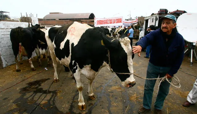 Protestas de ganaderos lecheros en el camal Colonial del año 2007. Foto: archivo