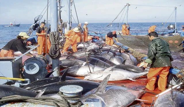 Pesca. Alcanzó picos de 117%, debido a la mayor venta de harina y aceite de pescado. Foto: difusión