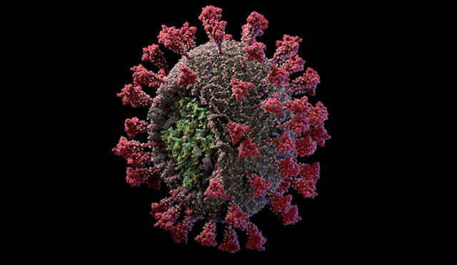 Imagen 3D del coronavirus SARS-CoV-2. Crédito: Visual Science