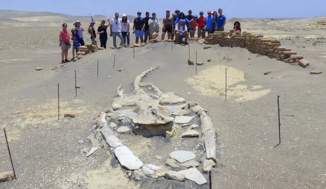 Yacimiento paleontológico en Caravelí es uno de los más importantes del Perú. Foto: Dimensiones Perú Viajes