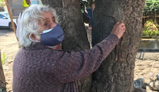 Margarita Castro explicó a los trabajadores que el árbol tiene un valor especial para ella. Foto: Facebook Renaciendo Talcahuano