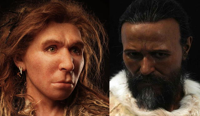 Izquierda: representación de una mujer neandertal. Derecha: un varón homo sapiens. Fotos: Atelier Daynès/ Royal Pavilion & Museums