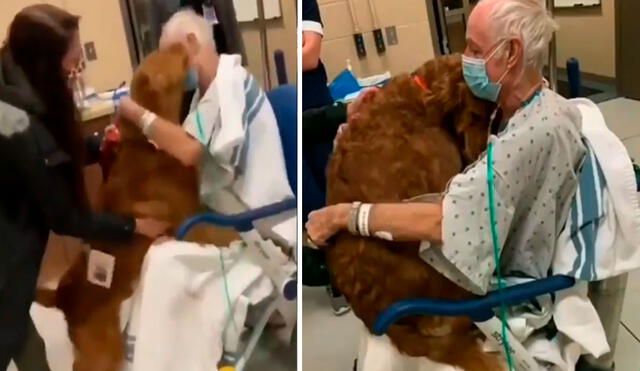 Un anciano tuvo que separarse de su mascota al ser internado en un centro de salud; sin embargo, un día recibió una tierna sorpresa cuando lo volvió a ver. Foto: captura de YouTube