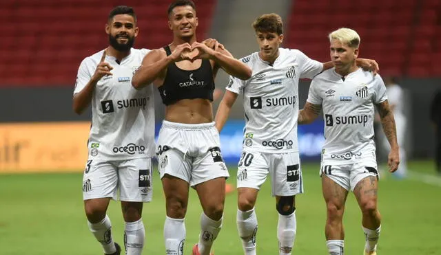 Santos jugará la fase de grupos de la Copa Libertadores. foto: Santos.