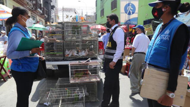 Los animales se encontraban en un inmueble en Mesa Redonda, en Cercado de Lima. Foto: Municipalidad de Lima