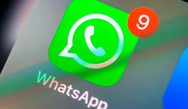 WhatsApp añadiría el ícono de arroba en el muro de chats para mostrarte si en tus grupos te mencionaron alguna vez. Foto: Infotechnology