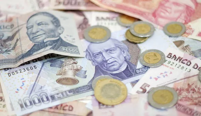 Tipo de cambio de pesos mexicanos a dólares. Foto: BBVA Bamcomer