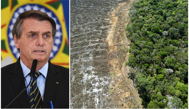 Entre agosto de 2019 y julio de 2020, la devastación en la Amazonía brasileña aumento un 9.5%. Foto: AFP