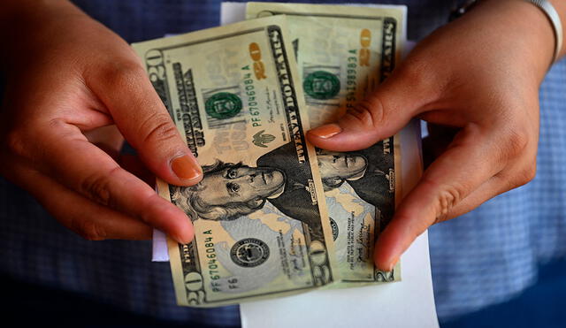 El índice del dólar cayó a 91,521. Foto: AFP