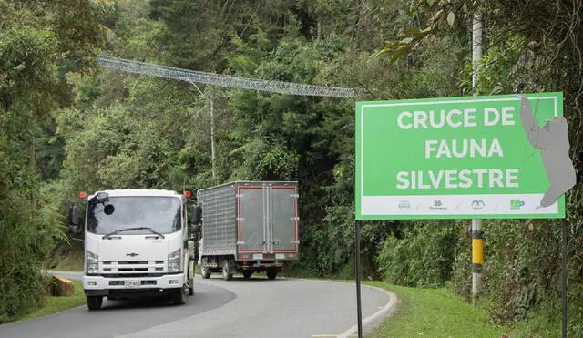 El autobús cubría la ruta El Peñol-Guatapé (Colombia). Foto: referencial/Cornare
