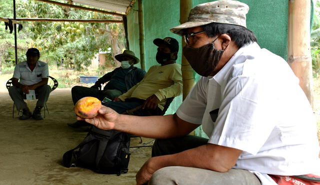 Agricultores se unen para erradicar la plaga de la mosca. Foto: La República