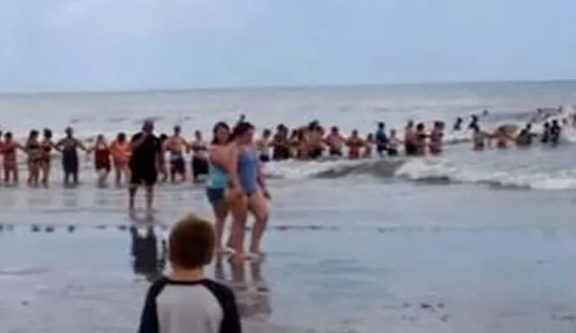 Bañistas formaron una cadena humana en una playa de Panama City (Florida, EE. UU.). Foto: Foto captura