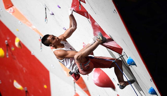 La escalada deportiva se caracteriza por recorrer y subir paredes provistas de obstáculos de diversas formas y colores. Foto Olympic.org