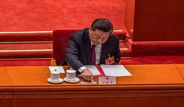 Xi Jinping reiteró que China "seguirá colaborando" con la OMS. Foto: EFE