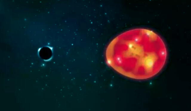 El agujero negro de masa pequeña ha sido catalogado como 'Unicornio' por su rareza. En esta ilustración, se encuentra atrayendo a una gigante roja. Foto: Política, Investigación y Tecnología / Lauren Fanfer