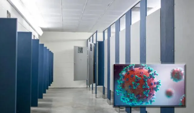 Los bioaerosoles generados en baños de centros comerciales o cualquier espacio público pueden ser una fuente de COVID-19 y otras enfermedades. Foto: composición / Alex Dolce / Fusion Animation