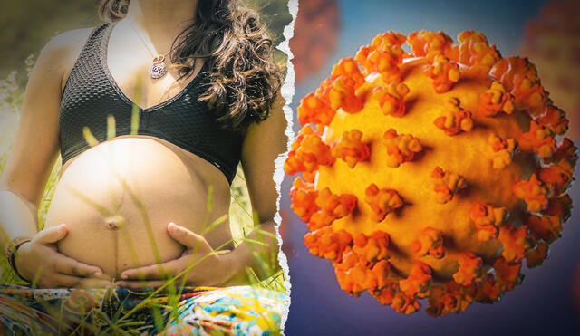 El estudio de UW Medicine y la Universidad de Oxford se calificó de 'único' porque comparó a mujeres embarazadas infectadas de COVID-19 con las no contagiadas. Foto: composición LR / Mayo Clinic / difusión