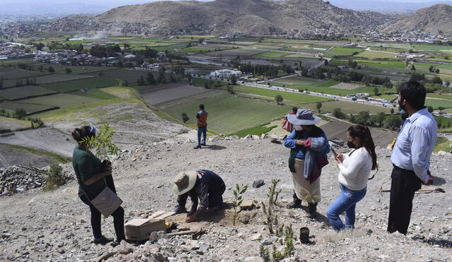 Lugar será destinado como futuro parque zonal. Foto: Municipalidad de Sachaca