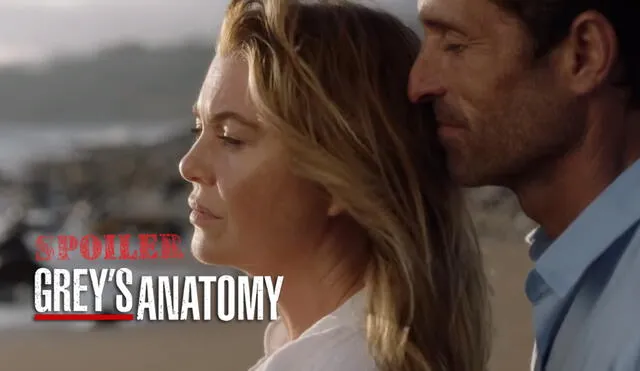 Meredith Grey y Derek se vieron por última vez en Grey's anatomy 13x17. Foto: ABC