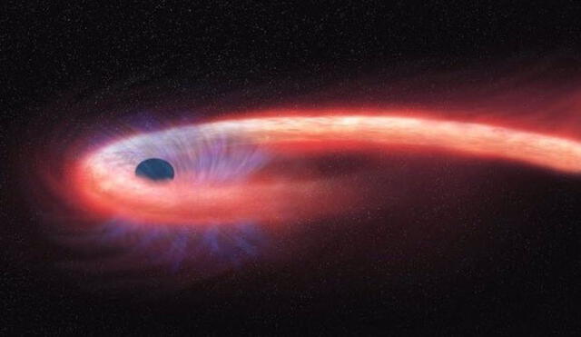La alta densidad de los agujeros negros permite que su gravedad no deje escapar ni siquiera la luz. En esta representación gráfica, una estrella es espaguetizada. Foto: Netherlands Institute for Space Research
