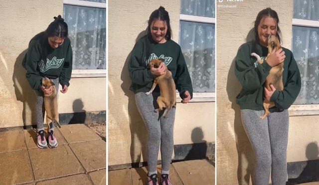 Miles de usuarios quedaron conmovidos con la reacción de este cariñoso perrito. Foto: captura de TikTok