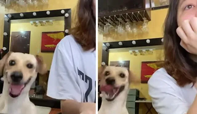 La inesperada reacción del can se volvió viral en las redes sociales. Foto: captura de TikTok