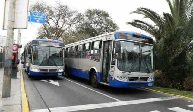 Buses de transporte público a GNV.