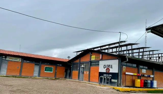 Planta de Gloria en el Centro Poblado de San Lorenzo, Cajamarca. Foto: Agalep