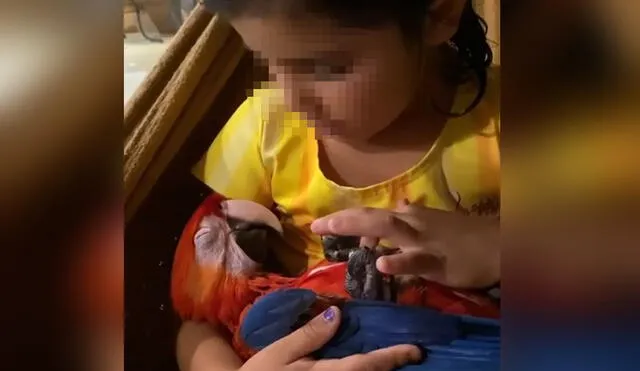 El conmovedor episodio entre la niña y su mascota conmovió a los usuarios. Foto: captura de YouTube