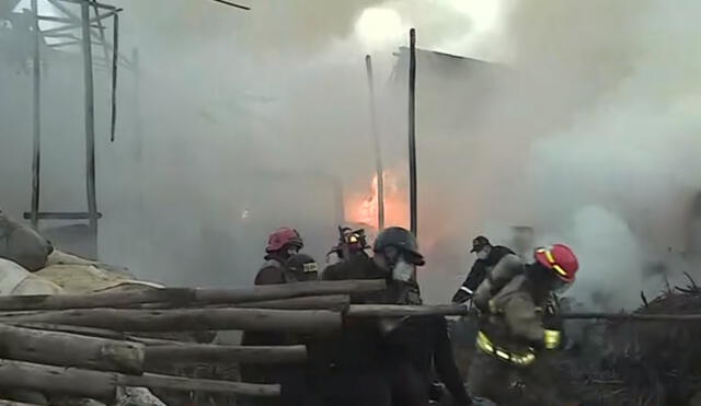Bomberos y serenazgo del distrito luchan por controlar el incendio. Foto: captura América Noticias