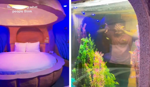 Tras la publicación el hotel Best Western se ha convertido en tendencia por su inusual decoración que te traslada al fondo del mar. Foto: captura de TikTok