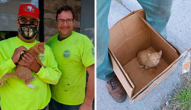 Unos hombres detuvieron su trabajo al escuchar unos maullidos, sin imaginar que encontrarían a un gatito que había sido abandonado dentro de una bolsa. Foto: William Montero/ Facebook