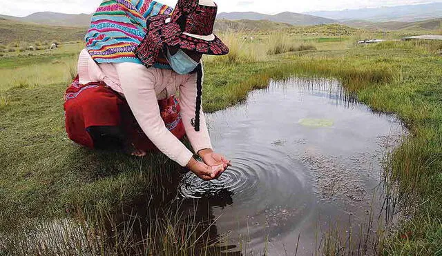 Agua contaminada. Salud comprobó que pobladores de Puno consumieron agua que contenia metales pesados. Ello ahora podrán ser empadronados.