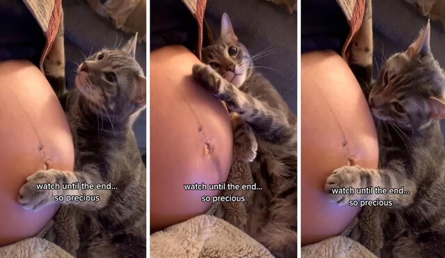 Una mujer reveló el momento exacto en que su felino se echó a su costado para acariciar su barriga y darle unos amorosos mimos. Foto: captura de Facebook