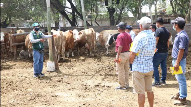 Pequeños ganaderos son capacitados para mejorar su producción lechera. Foto: Senasa