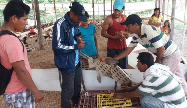 En el proyecto se realizaron capacitaciones sobre alimentación saludable y gestión de riesgos a las familias vulnerables del Alto Amazonas. Foto: Cáritas Yurimaguas