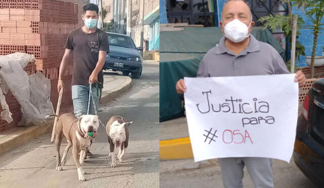 Vecinos realizaron plantón para exigir justicia para mascota muerta. Foto: WhatsApp La República.
