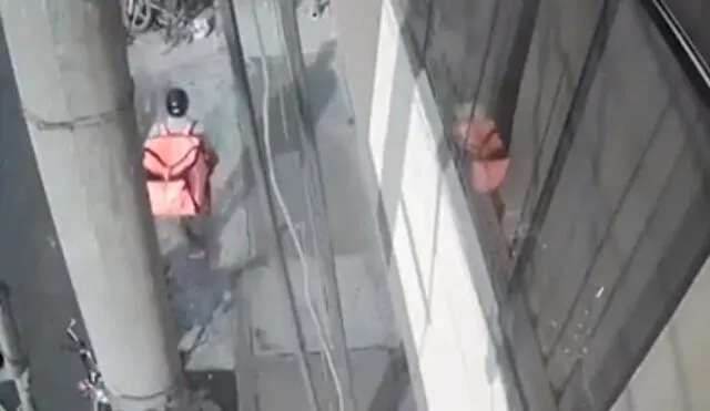 Tras unos segundos de forcejeo, la víctima cayó al suelo y el ladrón huyó con su celular. Foto: captura de América Televisión