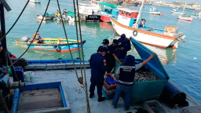 Autoridades intervinieron embarcaciones con pesca ilegal en bahía de Talara. Foto: difusión