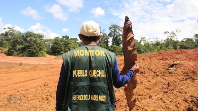 Monitores ambientales alertan ante destrucción de ecosistemas. Foto: GK / Vanessa Romo