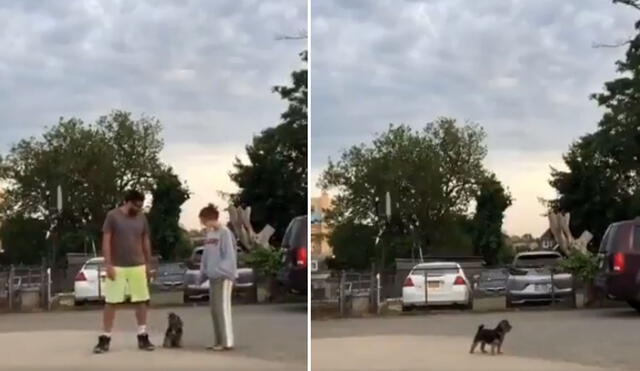 El can se quedó solo en la calle y su reacción se hizo viral. Foto: captura de Facebook