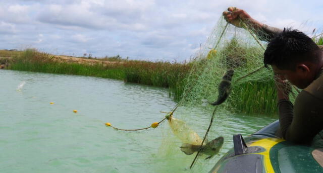 Biólogo señaló que en humedales encontraron recurso pesquero y que incluso la población local ya viene pescando. Foto: CINCIA