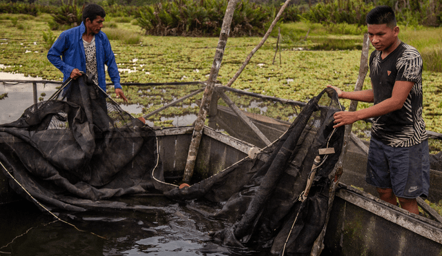 La pesca representa una actividad económica de mucha importancia en la Amazonía peruana. Foto: WWF
